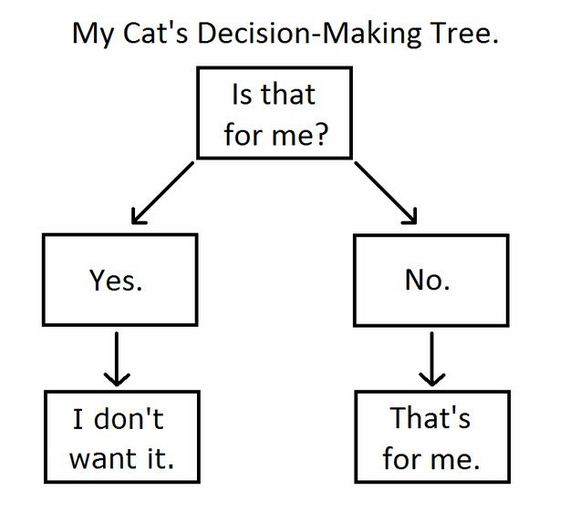 funny-pictures-397