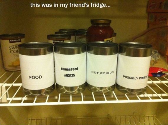 funny-pictures-397