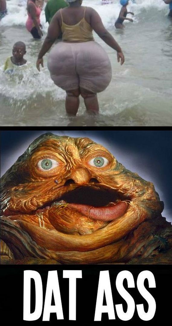 funny-pictures-397