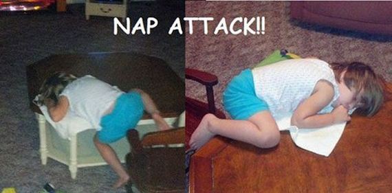 funny-pictures-397