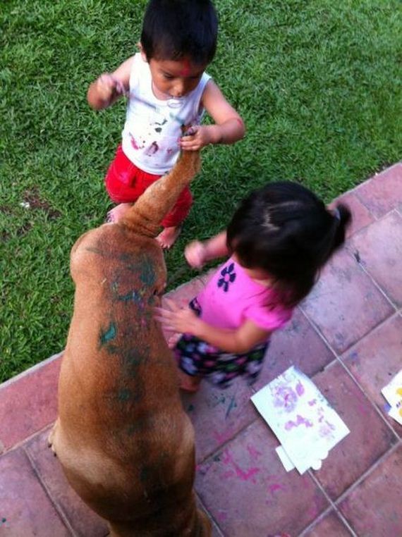 funny-pictures-398