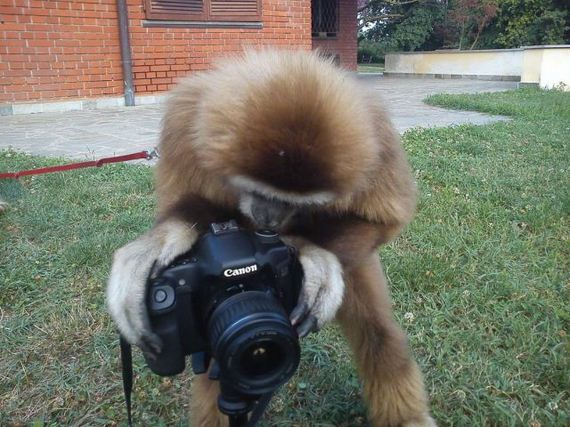 funny-pictures-398