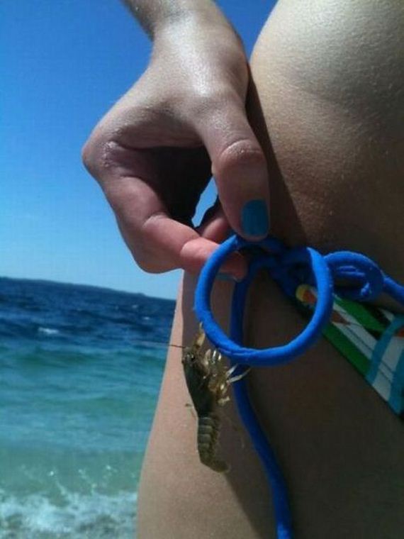 funny-pictures-398