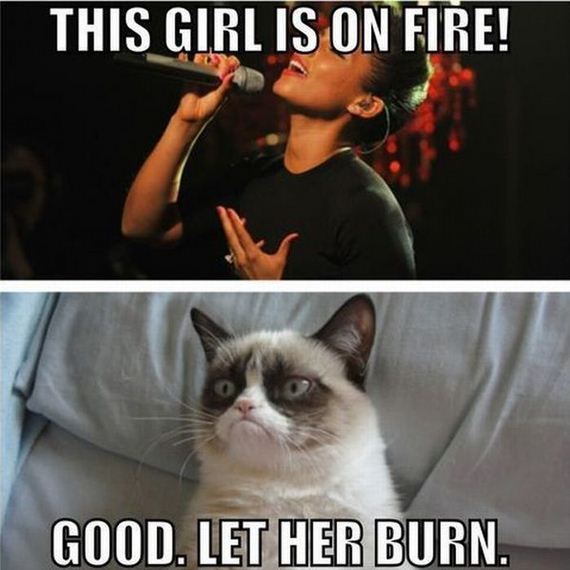 funny-pictures-398