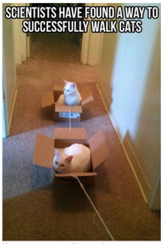 funny-pictures-399