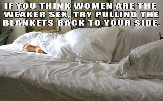 funny-pictures-399