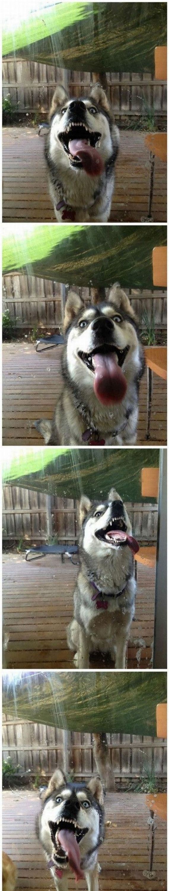 funny-pictures-400