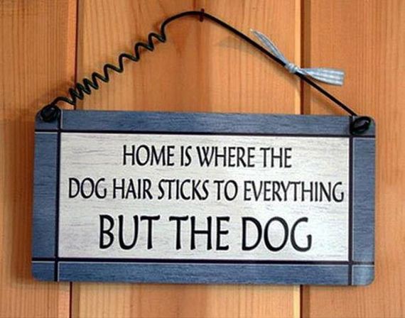 funny-pictures-400