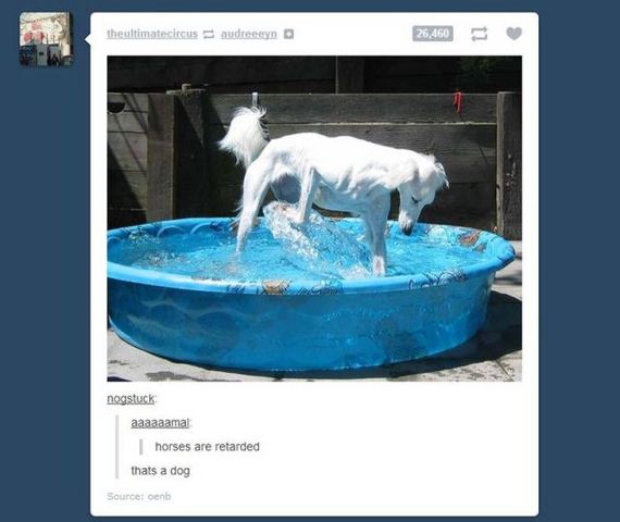 funny-pictures-400