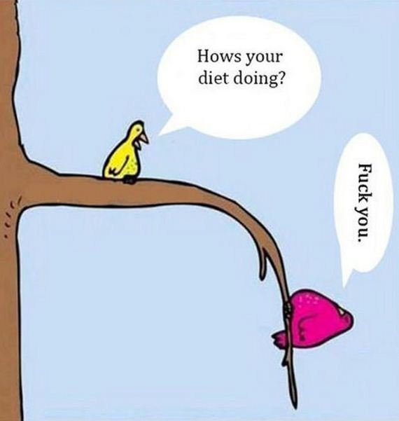 funny-pictures-400