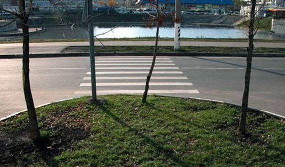 funny-pictures-402