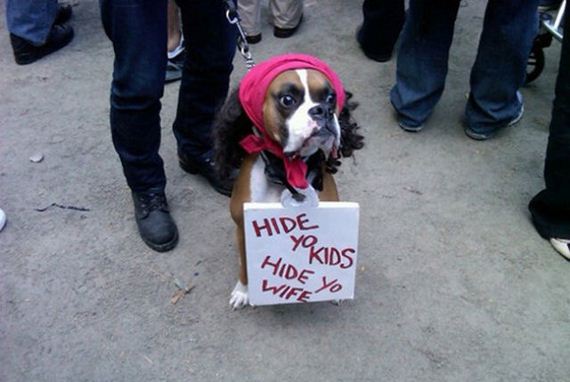 funny-pictures-402