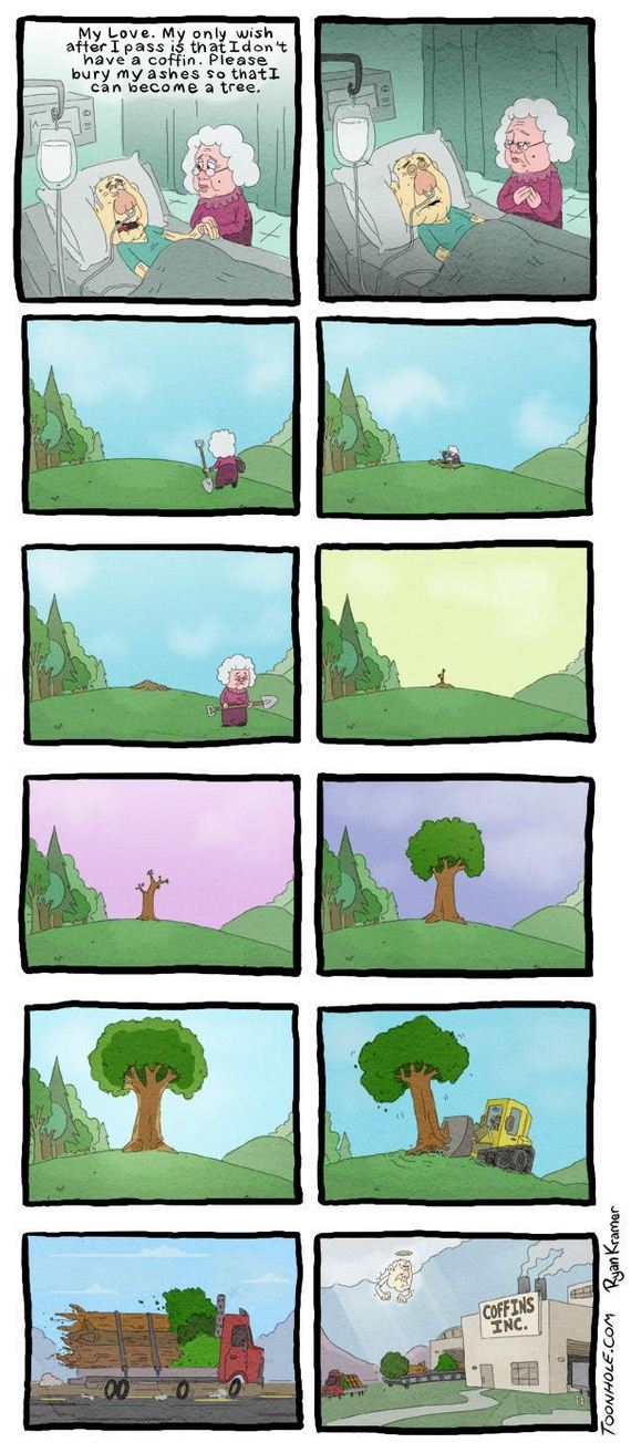 funny-pictures-402