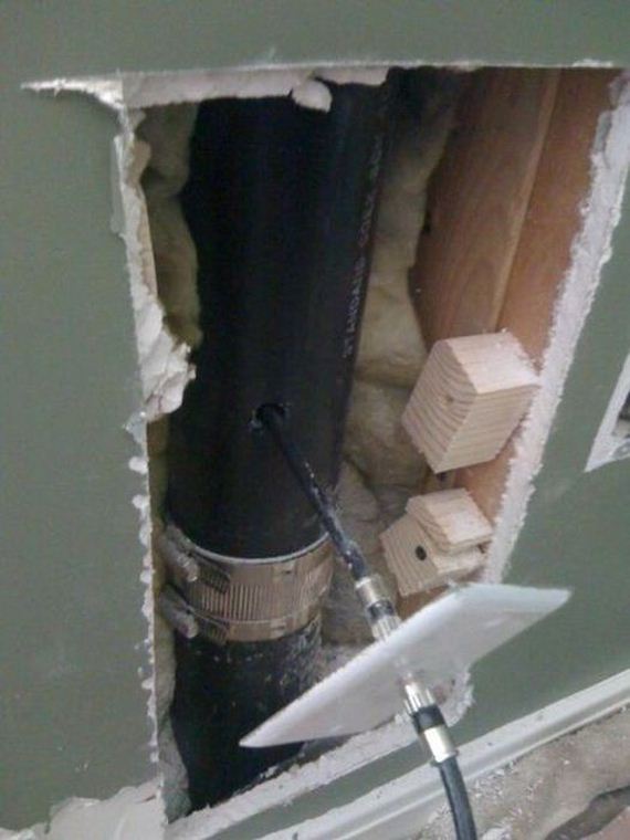 funny-pictures-403