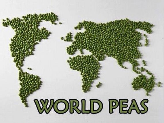 funny-pictures-403