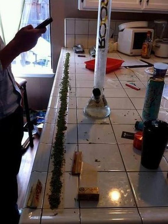 funny-pictures-403