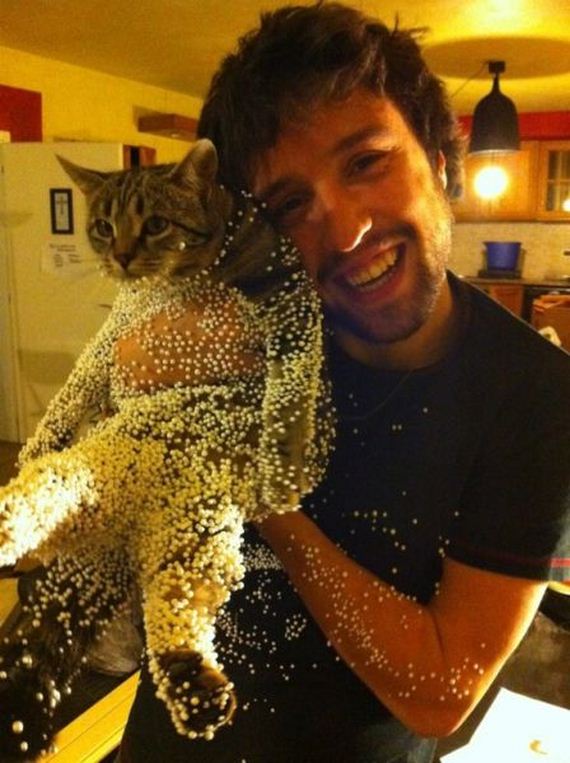 funny-pictures-404