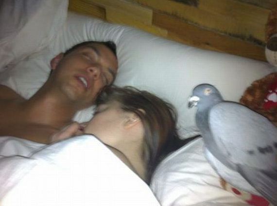 funny-pictures-405
