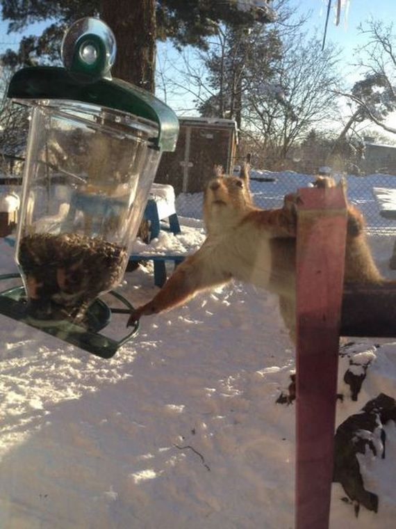funny-pictures-405