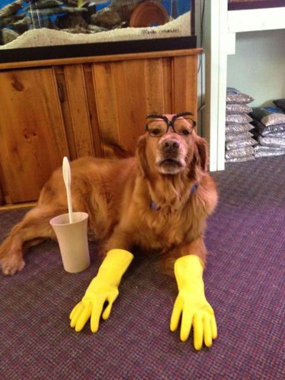 funny-pictures-405