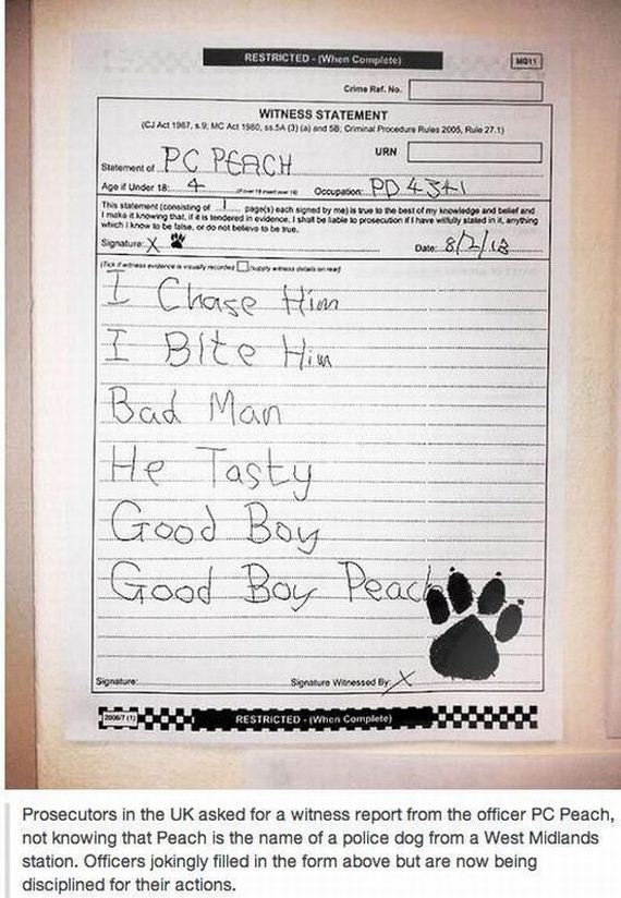funny-pictures-405