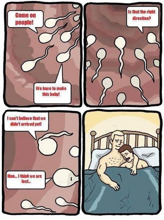 funny-pictures-406