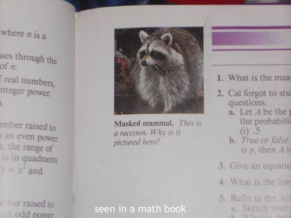 funny-pictures-407