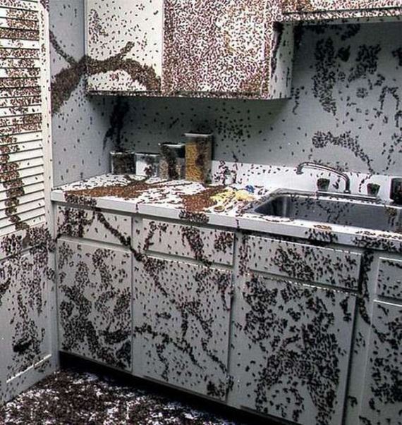 funny-pictures-407