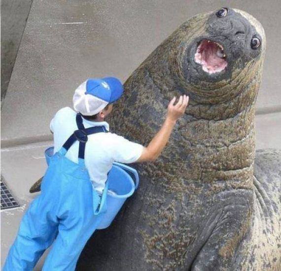 funny-pictures-408