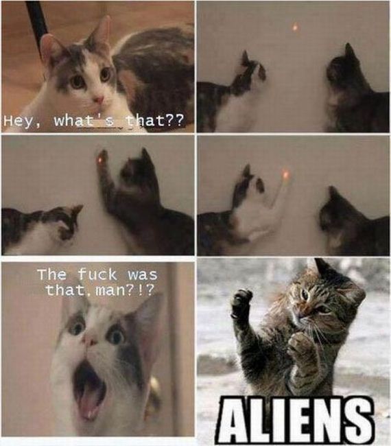 funny-pictures-408