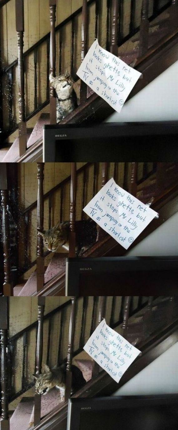 funny-pictures-409