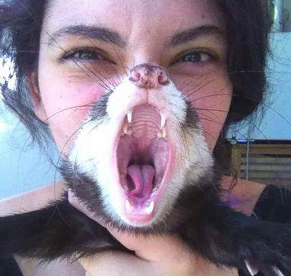 funny-pictures-409