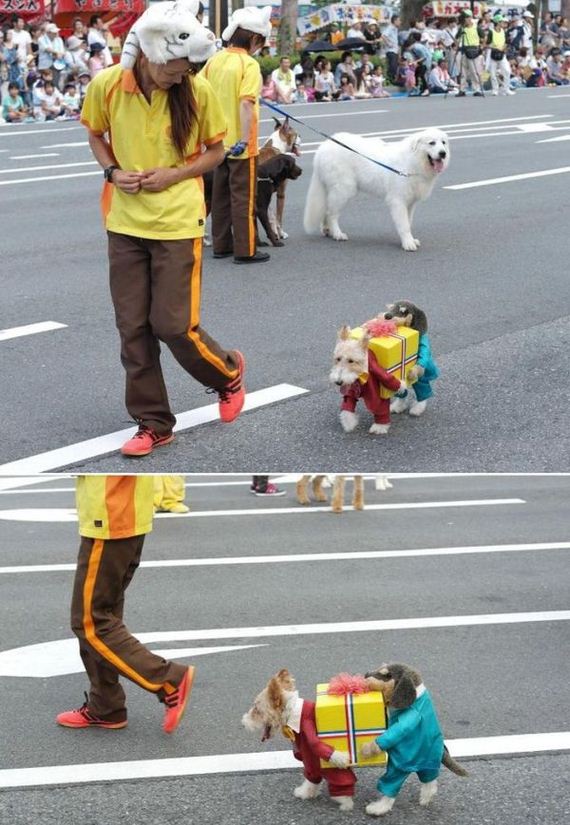 funny-pictures-409