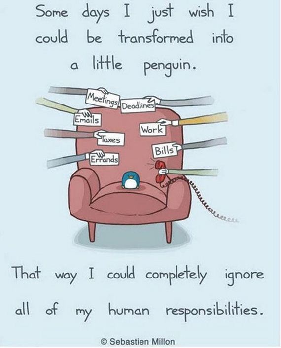 funny-pictures-415