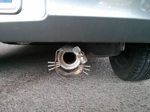 funny-pictures-415