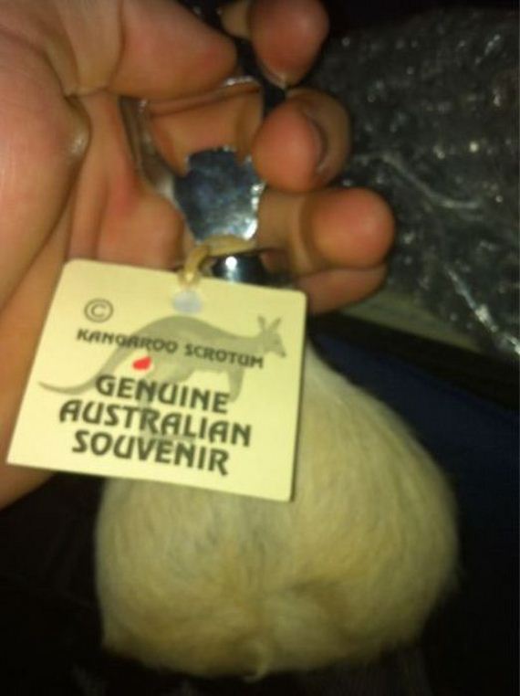 funny-pictures-415