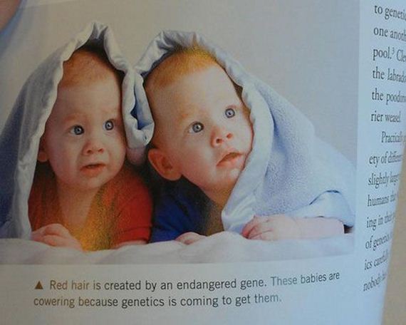 funny-pictures-415