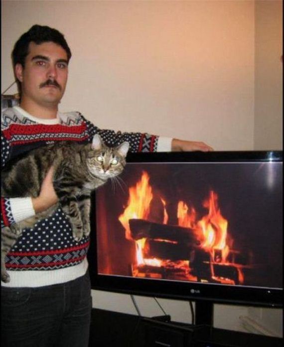 funny-pictures-416