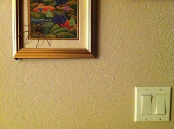 funny-pictures-416