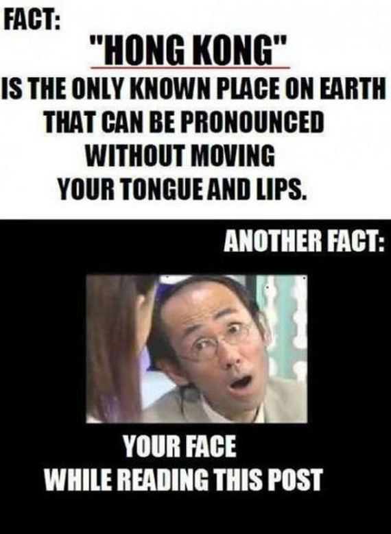 funny-pictures-416