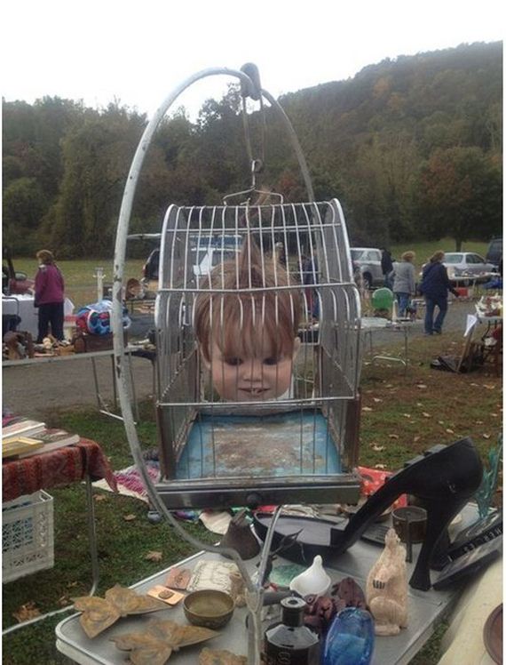 funny-pictures-416