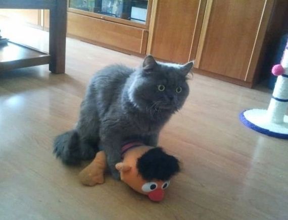 funny-pictures-417