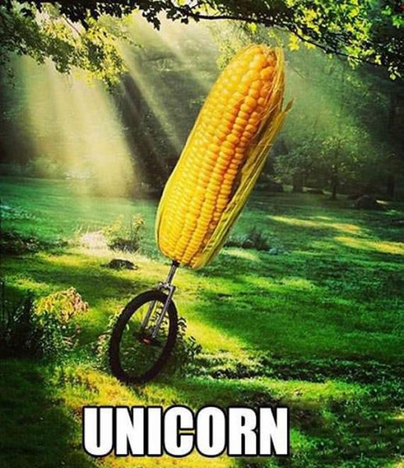 funny-pictures-417