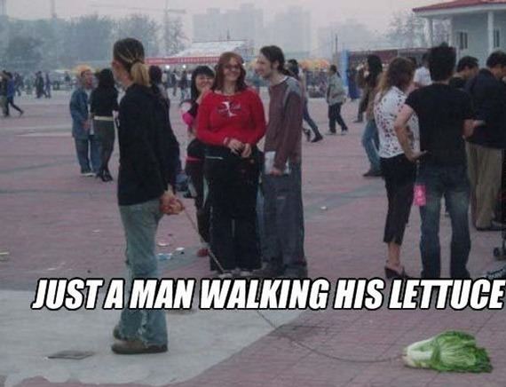 funny-pictures-417
