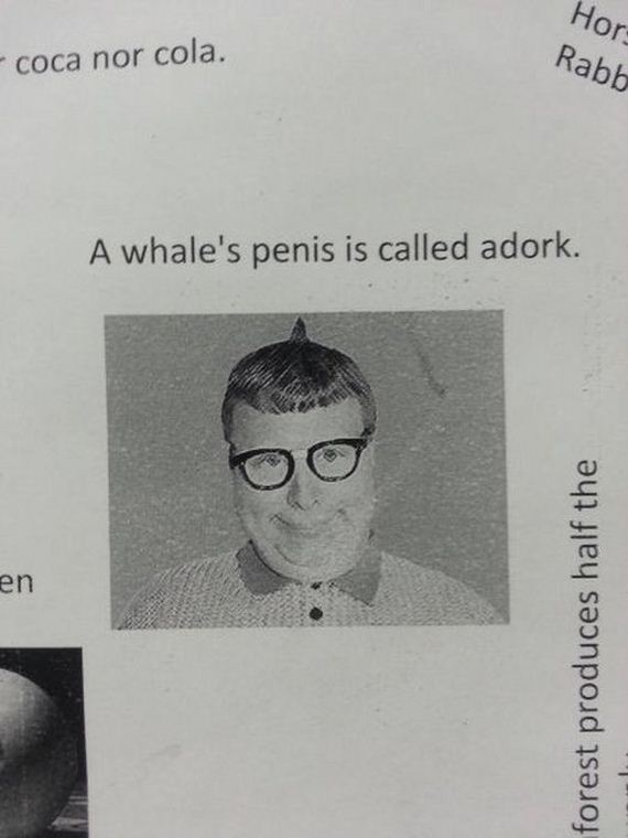 funny-pictures-418