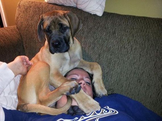 funny-pictures-418