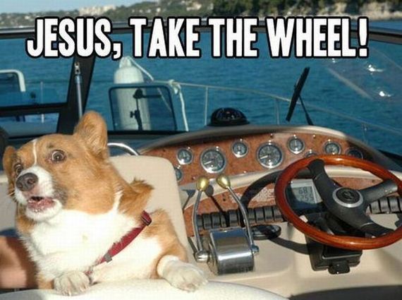 funny-pictures-418