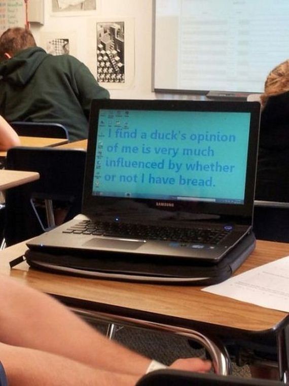 funny-pictures-418