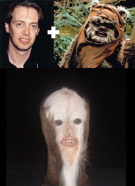 funny-pictures-418