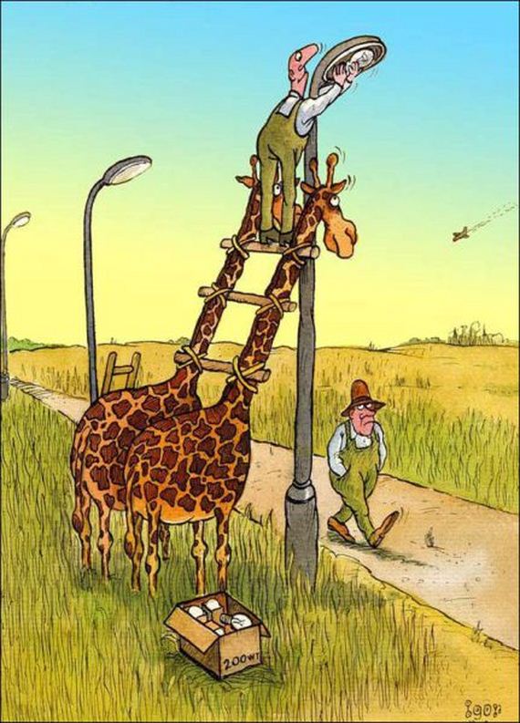 funny-pictures-420